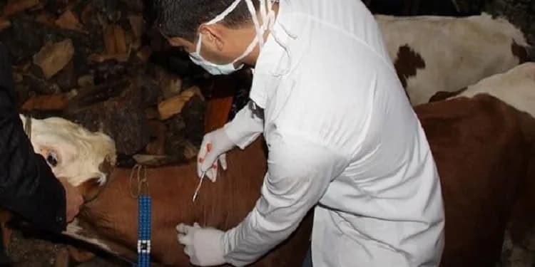 18–24 Kasım Dünya Antimikrobiyal Farkındalık Haftası